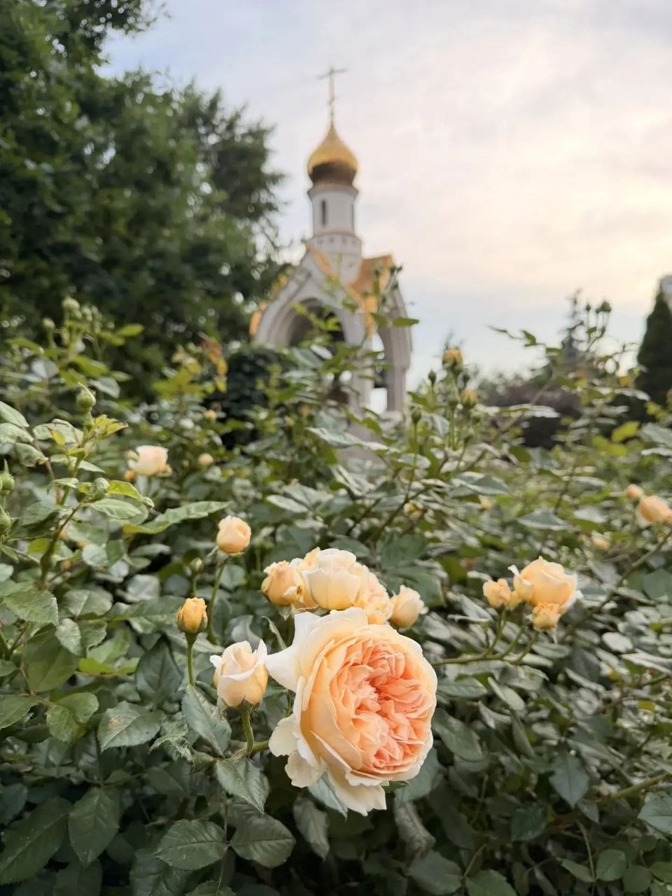 КРАСОТА, РАСПОЛАГАЮЩАЯ К МОЛИТВЕ